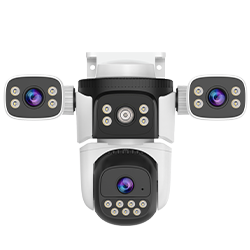 Dual camera